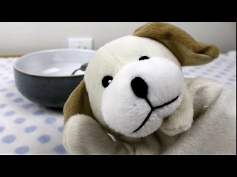 Excite Dog vs. Cereal Container! (Cheerios and Gold Fish make us Hungry!)