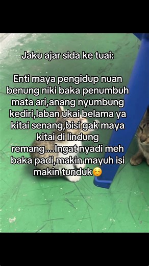 Wisdom for Life: Traditional Sayings and Their Meanings