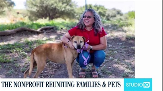Reuniting Lost Pets & Pet Adoption with Petco Love | Haystack News