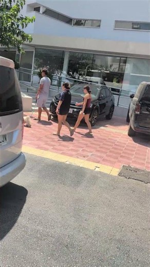 Ein sehr süßer kleiner weißer Hund auf Mallorca 😍