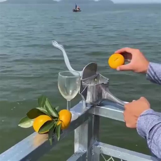 1.3K reactions · 117 shares | Tired of struggling with manual juicers Our professional-grade fruit juice squeezer delivers fresh, pulp-free juice in seconds!  Perfect for busy mornings or healthy detox routines.  | Uponextreme\Ma6 | Facebook