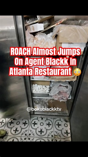 THAT’s A ROACH 🤢 #fyp #viral #shorts #inspection #gonewrong #agentblackk #bokublackk