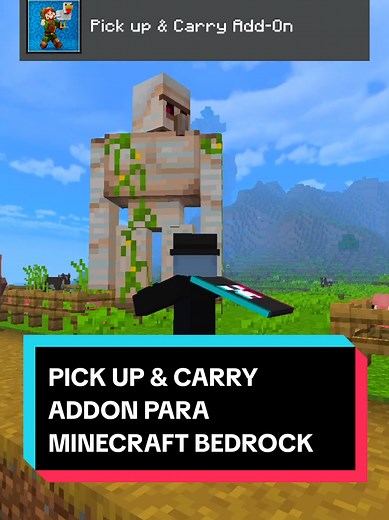 Pick Up & Carry Addon para Minecraft Bedrock