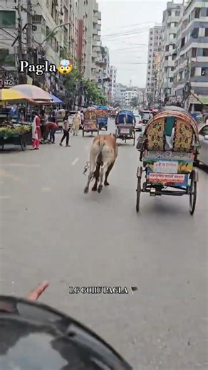 Pagla🤯#LGGORUPAGLA #foryou #cowlover #gorupagla #yp