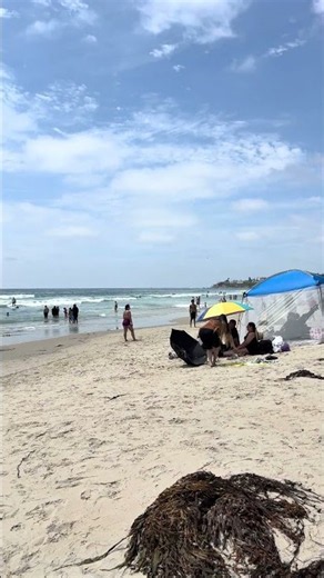 Pacific Beach San Diego Summer Beach Day #PacificBeach #SanDiego #Shorts