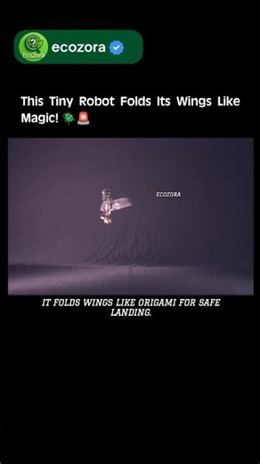 Meet the Beetle-Inspired Robot That Folds Its Wings! 😱#robotics #innovation #beetle #technology