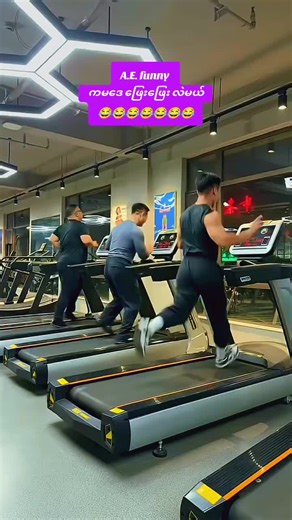 Funny Moments to Brighten Your Day