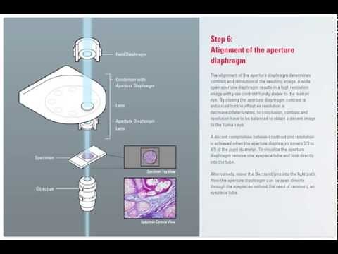 How to set up Koehler Illumination (Science Lab)
