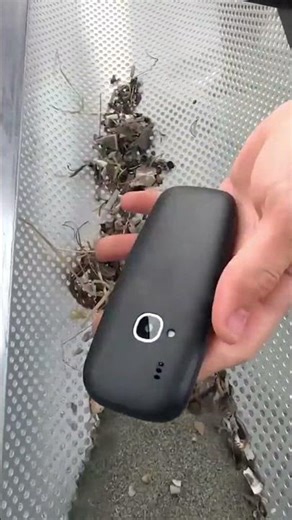 Beach Clean-Up Treasure Hunt: I Found an Old Nokia Phone! #treasuresearch