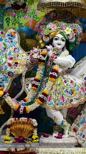 Aaj Magh purnima pr Radhe krishna ka divay darsan 🙏 🌹 🌹 #trending #love #radhakrishna 🌼✨️🌼