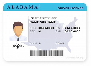 Alabama Driver License | License Lookup