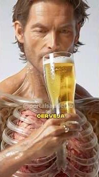Beer: What happens inside the body 🍺