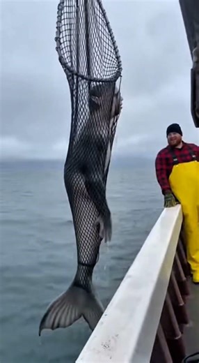 "Caught in the Net" – A Found Footage Horror