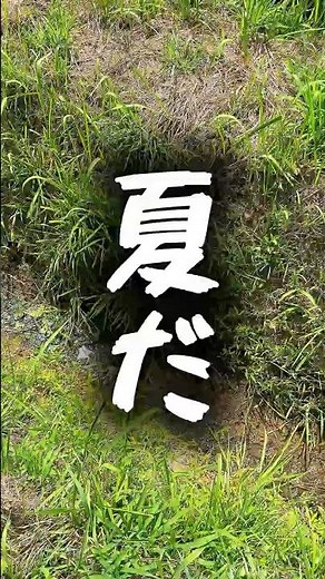 【柴咲コウ】少年時代