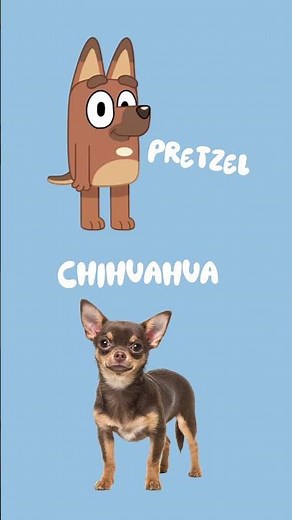 Bluey Character in Real Life Part 5!