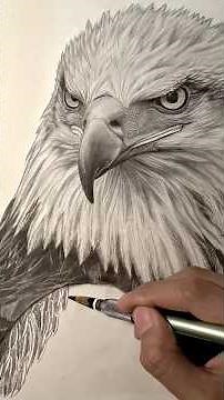 How to draw a Realistic Eagle #art #drawing #eagle