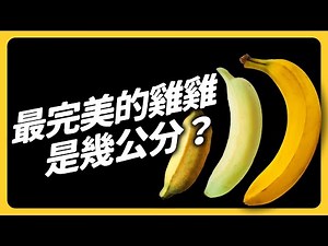 🔞 Everything You Need to Know About Penis3s | SHASHA77