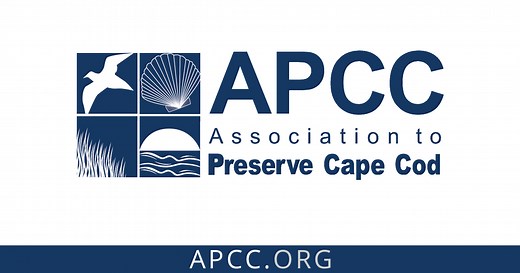 Salt Marsh Restoration