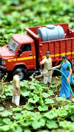 Dudhi Sabji Farming | Mini Farming Story | Bottle Gourd Harvest #minifarming #dudhi