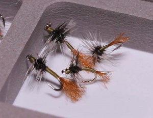 Video: How to Tie the Griffith's Gnat Emerger - Orvis News