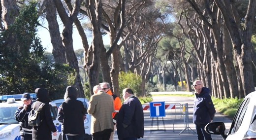 Ostia, pino crolla nella notte in via di Castelfusano: tragedia sfiorata. Strada chiusa e verifiche in corso
