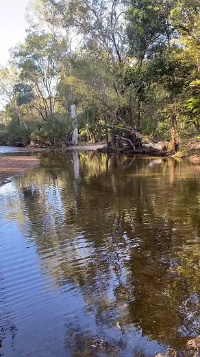 Sunday morning | John Clancy