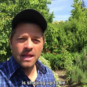 663 reactions · 216 shares | Your planet needs you, gishers! We’re teaming up to save the world this gishwhes and you can help... https://www.gishwhes.com/g_blog/20000-ways-to-change-the-world/" | GISH | Facebook