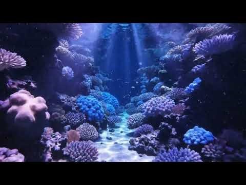 Hypnotic Neon Coral Tunnel 🪸 Deep Focus Ambient & Visual Therapy ⎜ 4K