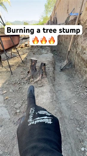 How to burn a tree stump #diy #fire #home #tree #burning