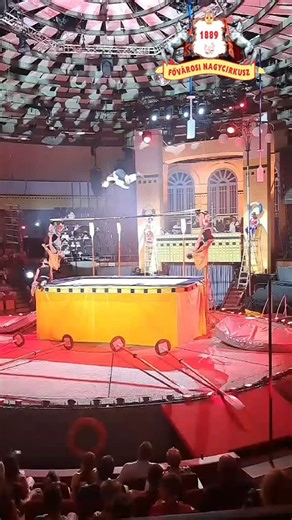 Fővárosi Nagycirkusz Budapest 🇭🇺 Summmer show Splash #fovarosinagycirkusz #Budapest #hungary #magyarország #cirkusz | Circus photographer Petr Gongol - www.cirkusy.eu