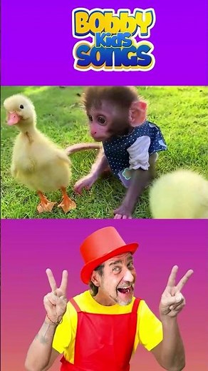 #monkeybonbon #cutemonkey #kindergarten #bobykidstv #monkeyfunnyvideos #babyshark #kidsvideo #short
