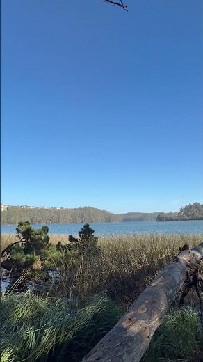 La joya natural de San Pedro de la Paz que debes visitar YA