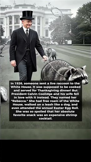 White House Adopted A Raccoon#shorts