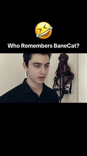 BaneCat Meme: Classic Batman vs. Cat!
