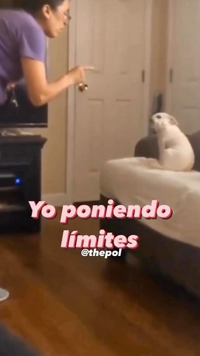 REGAÑAR A TU PERRO NO FUNCIONA 🚫 Muchos tutores piensan que si le hablan al perro como lo haría con un ser humano, el perro los va a entender y no es verdad. . El perro está interpretando la forma y modo de las palabras con algo negativo lo cual le produce temor, nervios y estes por ende solo asocia cuando la tutora le habla con algo malo, más no con lo que hizo. Entonces no sirve de nada. . Más bien enséñale dónde debe hacer sus necesidades y prémiale por hacerlas, esto es cuestión de pacienci