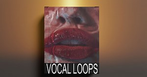 ROYALTY FREE VOCAL CHOPS SAMPLE PACK / FREE DOWNLOAD LOOP KIT - VOL.32 [vocal samples]