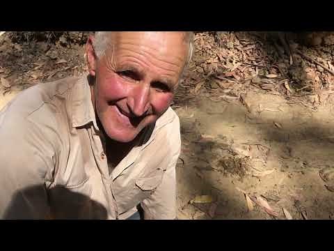 Gold Detecting an old Reef Mine | Metal Detecting Victoria, Australia | Minelab GPX5000