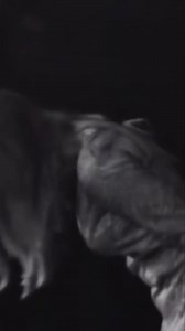 The acclaimed reissues of Marianne’s complete UK Decca catalogue are out now on streaming. All four original Decca albums ‘Marianne Faithfull’, ‘Come My Way’, ‘North Country Maid’ and ‘Loveinamist’ are available alongside ‘Cast Your Fate To The Wind’: the collected singles, B-sides and rarities which includes four new recordings. To purchase follow the links in our bio and for more information on the re-issues head to Marianne’s website (link also in bio) #mariannefaithfull #mariannefaithful #De