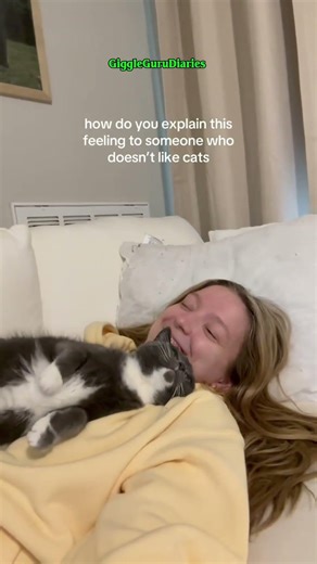 Funny Animals Compilation 🐶🐱 | Cutest & Craziest Animal Moments #shorts