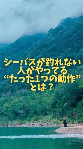 Takafumi Magoshi on Instagram: "🎬【シーバス攻略】 シーバスが釣れない人がやってる、"たった一つの動作"とは？ 💡【この動画で得られること】 ・たった"1つやるだけ"で釣れるようになる ・"流す"が理解できる 📱【SNSで最新情報をチェック】 Instagram： @magoshi_01 ___________________________ #釣り初心者 #シーバスフィッシング #シーバスルアー #シーバスゲーム #鱸釣り"