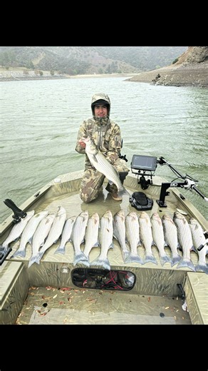 Best Striper Fishing Techniques for Success