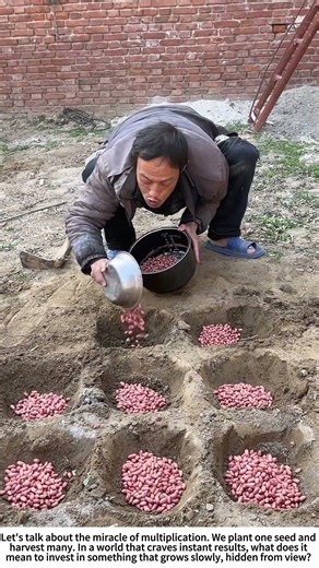 Planting Possibility: Hand-Sowing Peanuts 🥜🌿