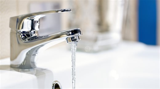 How to prepare for winter storm | Here’s what experts say to do now to protect pipes, plants and pets