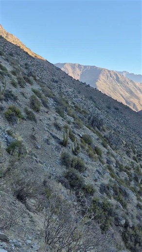 Rio Colorado 🇨🇱 Valle del Aconcagua #shortvideo #mountains #nature #lineadepesca