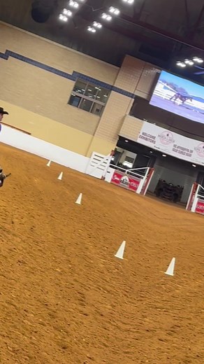 6.8K views · 134 reactions | 狼VS SECRET CODE & Anthony Montes Owned by: Ingrid Miller | Vickery Performance Horses | Facebook