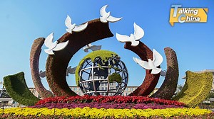 China is still a developing country and part of Global South, expert says