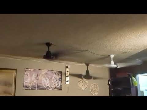 2 Powerful industrial ceiling fans wired in parallel on 1 wall control.