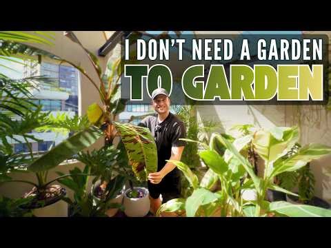 LOSING MY GARDEN WAS THE BEST DECISION