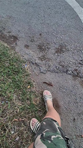 My Thailand farm tales บน TikTok