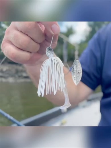 18 reactions | Bass University on Reels | Facebook